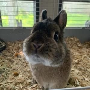 Meet your Posher, Maria